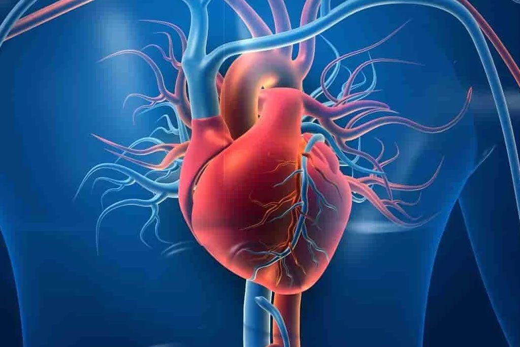 All Types of Coronary Artery Interventions